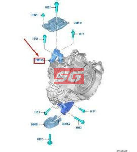 chân máy hộp số