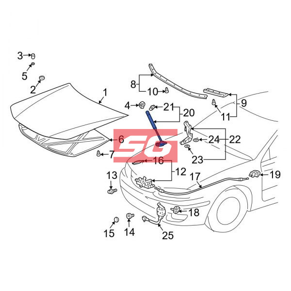 TY CHỐNG NẮP CAPO LEXUS GS450H 2011 | 534500W070 - Ảnh 4