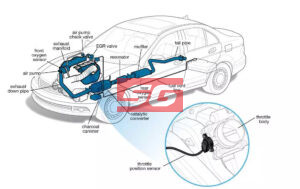 CẢM BIẾN BƯỚM GA
