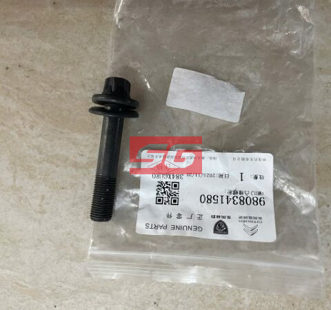ỐC BÁNH RĂNG TRỤC CAM PEUGEOT 508 | 9808341580