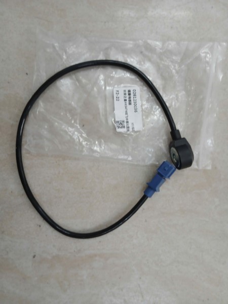 CẢM BIẾN KÍCH NỔ XE SYM V5 2012 | 0261230036